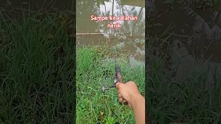 GACOR SAMPE KEWALAHAN‼️PRAT 1 #fishing #mancing #masukberanda #funny #petualanganhutan