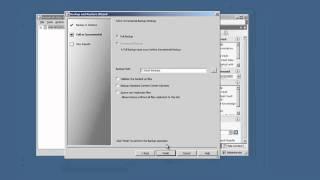 Autodesk Vault Backup Scheduling