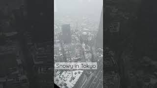 ️ First Snow in Tokyo - Shibuya