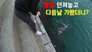 통발낚시_통발 던져놓고 다음날 갔더니? _fish trap