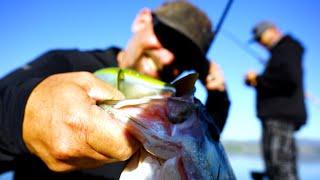 Fishing Swimbaits on Clear Lake with GCJ Baits' Gary Collins and SoCal Crusher -Crush#35-