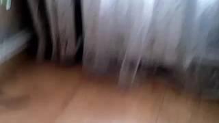 Моргунов Борис Денисович