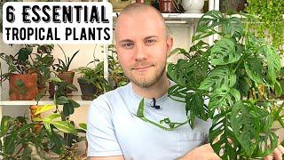 6 Essential Houseplants For A TROPICAL Indoor Jungle