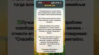 Что НЕЛЬЗЯ Делать с ВЕНИКОМ