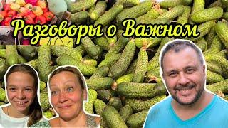 Сколько должны за электричество и воду в Сербской деревне//Первое родительское собрание//