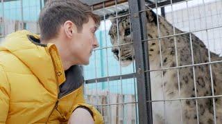 Snow Leopards: Ghosts in the Snow (Full Episode) | Part 2 | BBC Earth