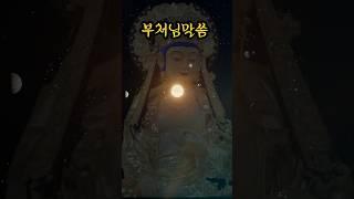 "모든 존재는 하나로 연결되어 있습니다 – 화엄경의 가르침"#부처님말씀 #화엄경 #모든존재는하나다 #인드라망 #명상 #shorts #buddhism #spiritualquotes