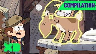 Gravity Falls GOAT (GOMPERS) Moments from Season 1 | Compilation | @disneyxd