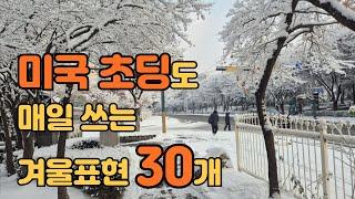 영어로 말이트이는 미국인 일상 표현 1시간 듣기 #243