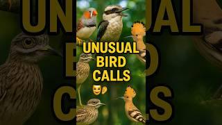 Pure Bird Sounds for Relaxation & Focus | Chirping, Singing, Calls – No Music, Just Nature