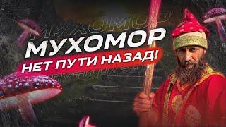 Мухомор! Шоковая терапия подходит не всем!