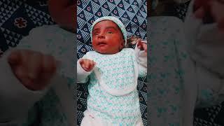 Lil Champ Cute Video #baby #babyshorts #babyvlogs