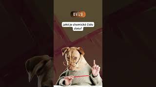 Kvízo - každý den nový kvíz (3)