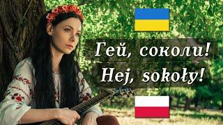   Гей, соколи! / Hej, sokoły! – Ukrainian/Polish folk song