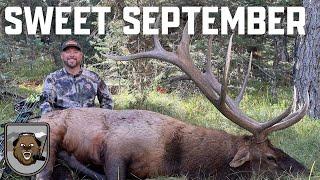 The Bear Archery Podcast Ep. 219: SWEET SEPTEMBER