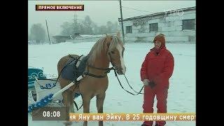 Прямое включение. Готовим сани летом, а телегу зимой