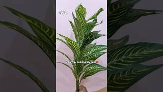 Link in my Community Post️ Shanol Artificial Leaf Bunch #meesho#homedecor#meeshofinds
