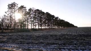 Prairie Silence: A Memoir by Melanie Hoffert
