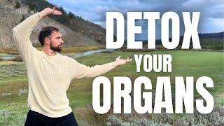 Qigong Daily Organ Detox: Lymph Drainage & Visceral Healing