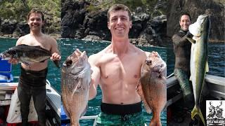 Immersioni nella baia delle isole E8