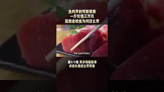 3/3 一斤价值几万元，一口吃掉半个月工资，蓝鳍金枪鱼为何如此昂贵？#金枪鱼 #蓝鳍金枪鱼 #tuna