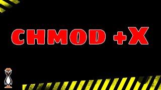 Linux Permissions and Using + X with chmod