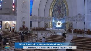 Iași (catedrală): Sfânta Liturghie și Sfântul Rozariu în direct (vineri, 8 noiembrie 2024)