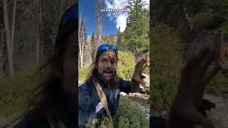 Land Of The Free or Land Of The Permit?
