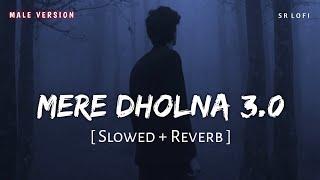 Mere Dholna 3.0 (Slowed + Reverb) | Sonu Nigam | Bhool Bhulaiyaa 3 | SR Lofi