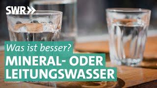 Mineralwasser – echt besser als Leitungswasser? | Marktcheck SWR