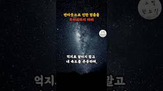 번아웃으로 멈춤을 두려워 말라는 철학적 조언 | 노자 | 장자 | 인생조언 | 철학 | 삶의 지혜 | 오디오북