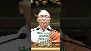 [법구경 173송] 앙굴리말라가 사람들의 돌팔매질에 죽었다는 소식을 들으신 부처님께서 읊으신 게송 - 동명스님(불광사 주지) 법문 #업보 #인과응보 #과보 #인생조언