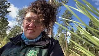 MSU Forestry Alumni Spotlights - Louren Rose Escamilla - Working as a Forestry Technician