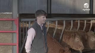 Young Farmer Series: Elliott Potterton on mart life and farm efficiency