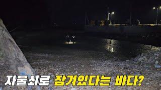 자물쇠로 잠겨있는 바다에 들어가면 바닥에 깔려있다?! +먹방 (가경주로뎀펜션)