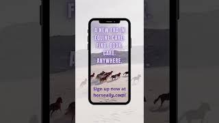 HorseAlly, the world's 1st horse care & equine pro services app!