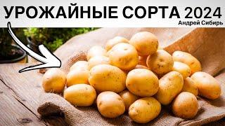 НОВЫЕ УРОЖАЙНЫЕ СОРТА КАРТОФЕЛЯ 2024. С НИМИ ВЫ НЕ ОСТАНЕТЕСЬ БЕЗ УРОЖАЯ!