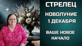 СТРЕЛЕЦ Новолуние 1 декабря 2024. Когда вы уверены в себе, мир тоже в вас верит.