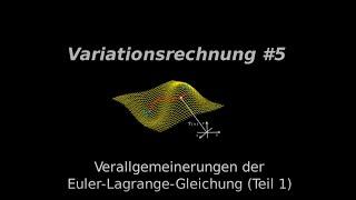 Verallgemeinerungen der Euler Lagrange Gleichung Teil 1, Variationsrechnung #5