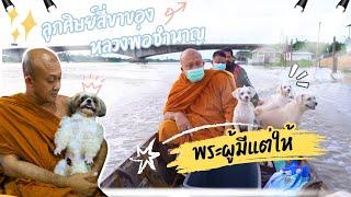 ลูกศิษย์สี่ขาของหลวงพ่อชำนาญ พระผู้มีแต่ให้ l Pet Lover by Jerhigh EP.35