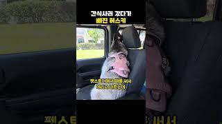 간식사러 갔다가 삐진 허스키