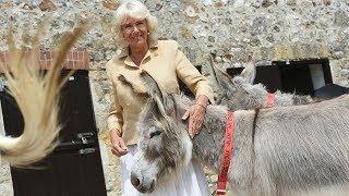 HRH The Duchess of Cornwall visits The Donkey Sanctuary