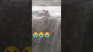 #shorts #shortvideo #funnyanswers #comedyshorts