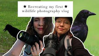 My one year wildlife photography progress | #22