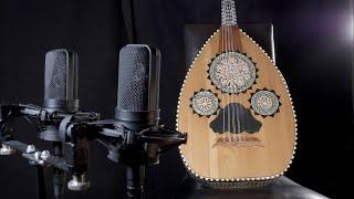 3 HOURS Pure Intonation Ambient Oud "Joan's Dream - pure intonation version" - Naochika Sogabe