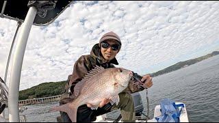 Snapper fishing and Tai Rubber the popular fishing rig in Japan