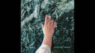 biruza - digital detox (official audio)
