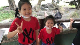 Khám phá rừng xanh/Su thỏ xí muội cho Gấu ăn bánh mì cực vui #muoivlog #ximuoi #zoo #khampharungxanh