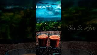 Tea️ lover -whatsapp status ️