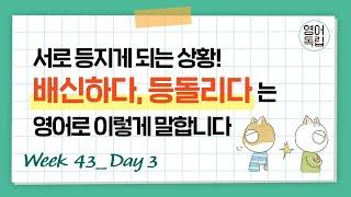배신하다, 등돌리다는 영어로 이렇게 말합니다 [영어독립 365/W43D3]